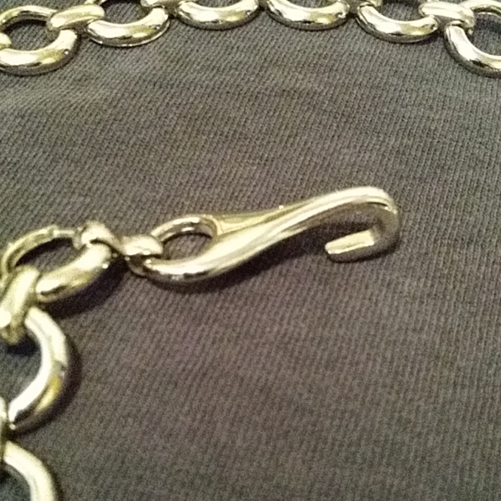 Chain Belt - Picture 4 of 5